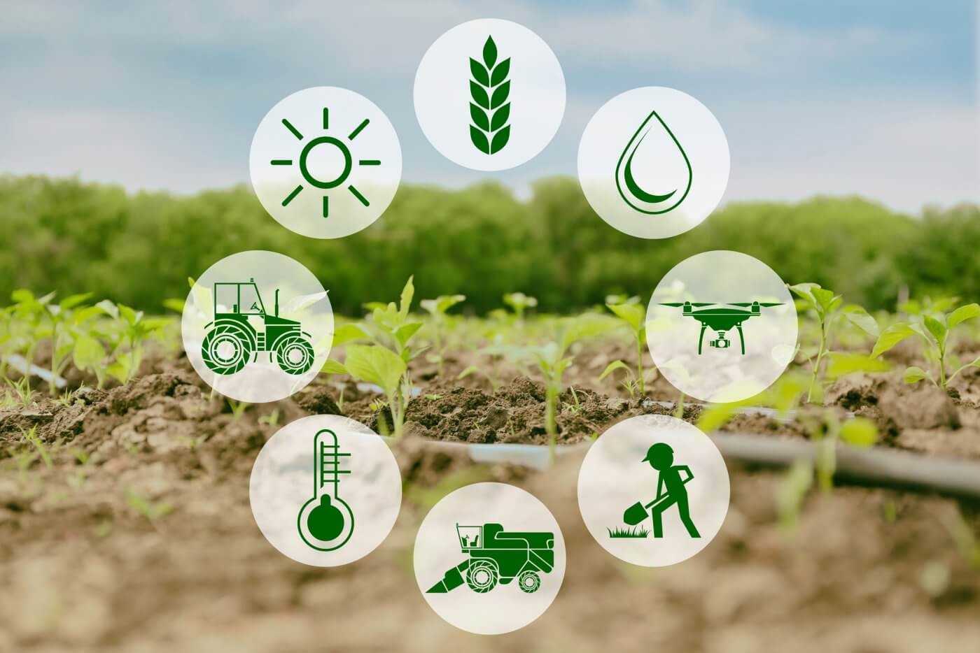 Định hướng tuyên truyền, truyền thông về nông nghiệp và môi trường năm 2025 